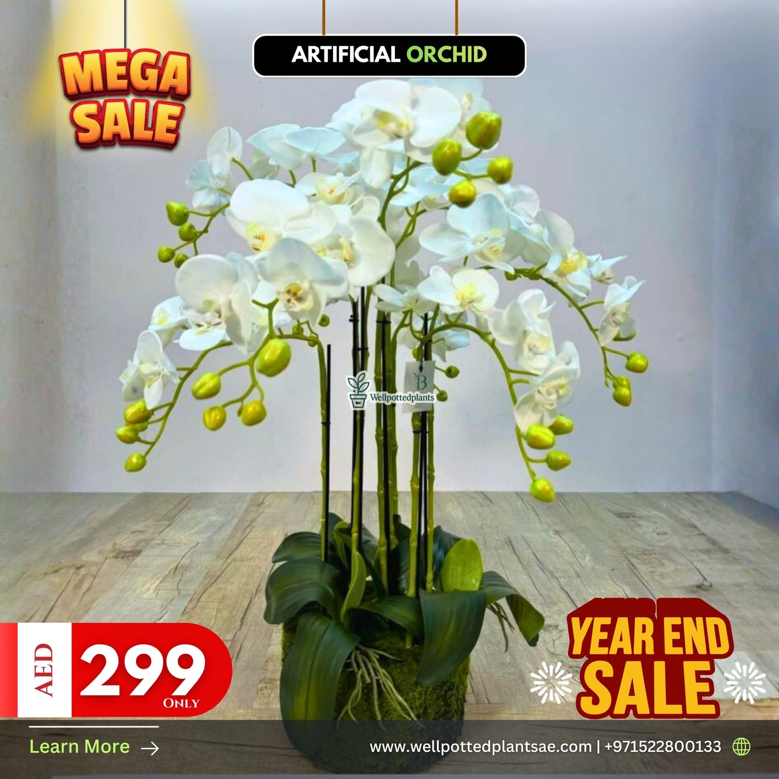 023EF49B-F4FE-4584-92BB-38E4D9579D54.jpg Mega Sale Artificial Orchid Plants UAE at 60cm - Image 1
