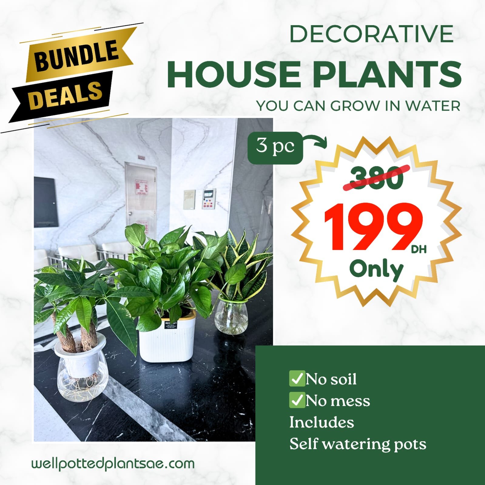 2328F55F-6C04-472B-B7AD-688FAF2045CF.jpg Water Plants Bundle 3 pc Mega Sale - Image 1
