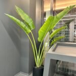 Office Plants Premium Bundle in Fiber Pot New 10pc - Image 12