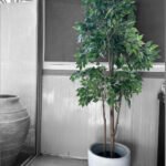 Artificial Benjamina (180cm)