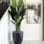 Artificial Travellers Palm Premium Collection