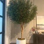 Artificial Olive Premium Large Think Trunk