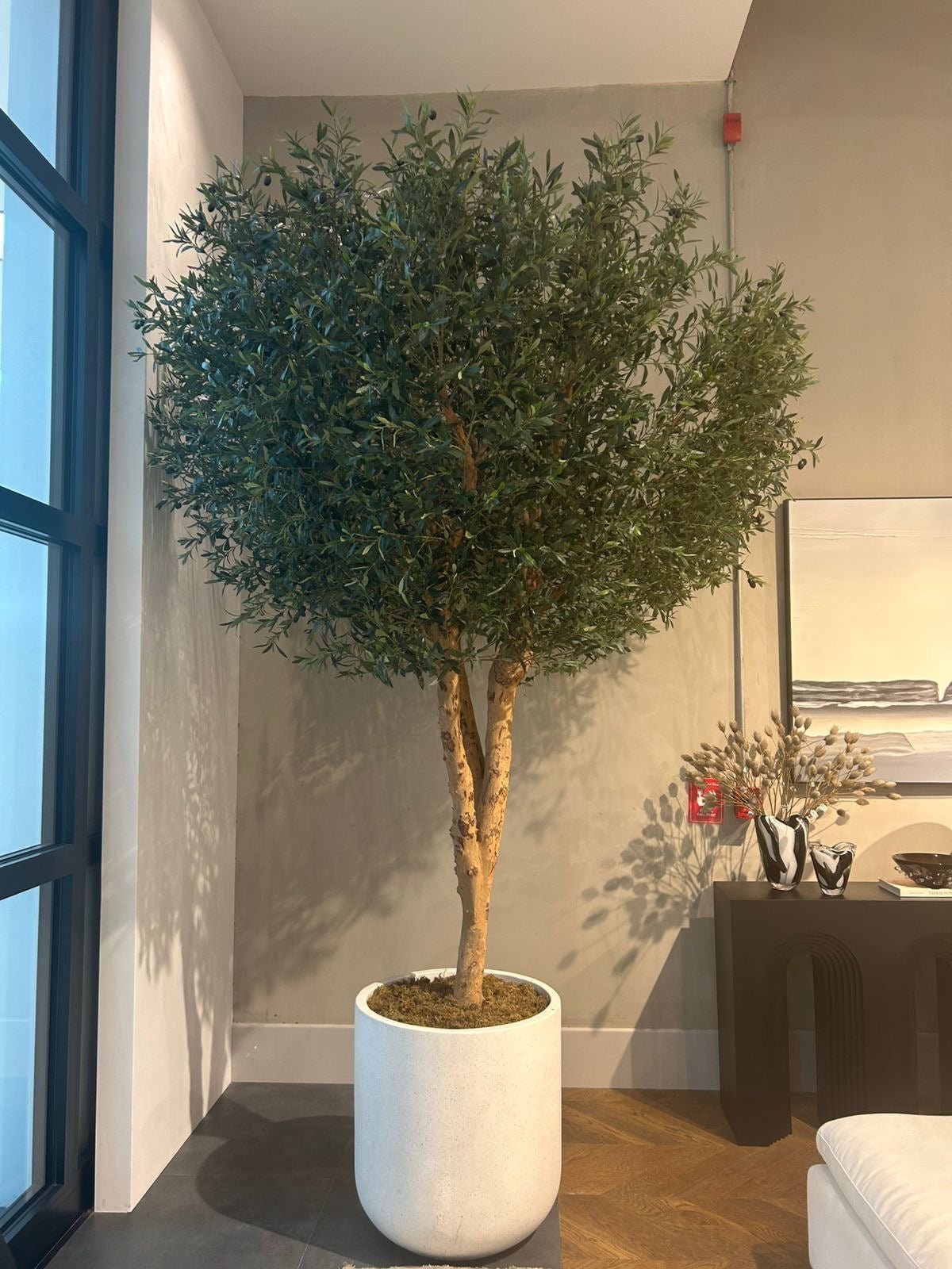 87C5A058-52F6-4E73-BAA0-7B76FED8A8DD.jpg Artificial Olive Premium Large Think Trunk - Image 1
