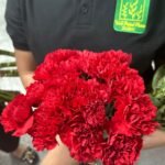 Fresh Flowers Carnation 12pcs Best Seller