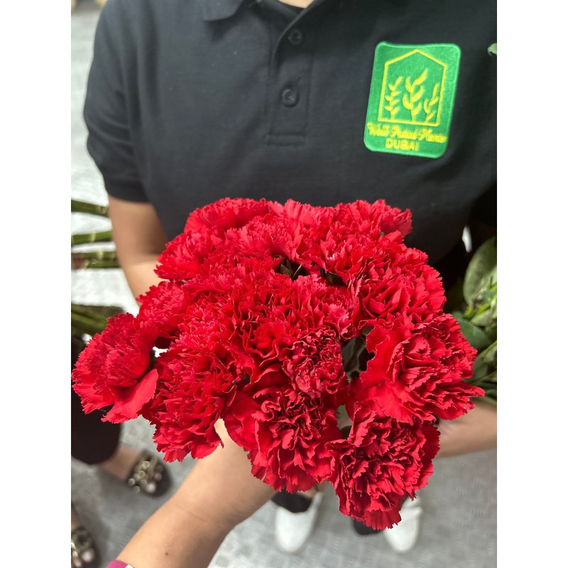 92C49F14-9CCC-4022-92AA-B24E87BCA0A1.jpg Fresh Flowers Carnation 12pcs Best Seller - Image 1