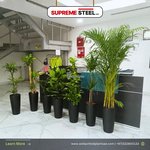 Office Plants Bundle Premium 7pc  Air Purifying Plants - Image 2