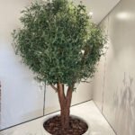 Artificial Olive Multiple Trunk Plants UAE