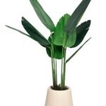 Artificial Travellers Palm Buy 1 Take 1
