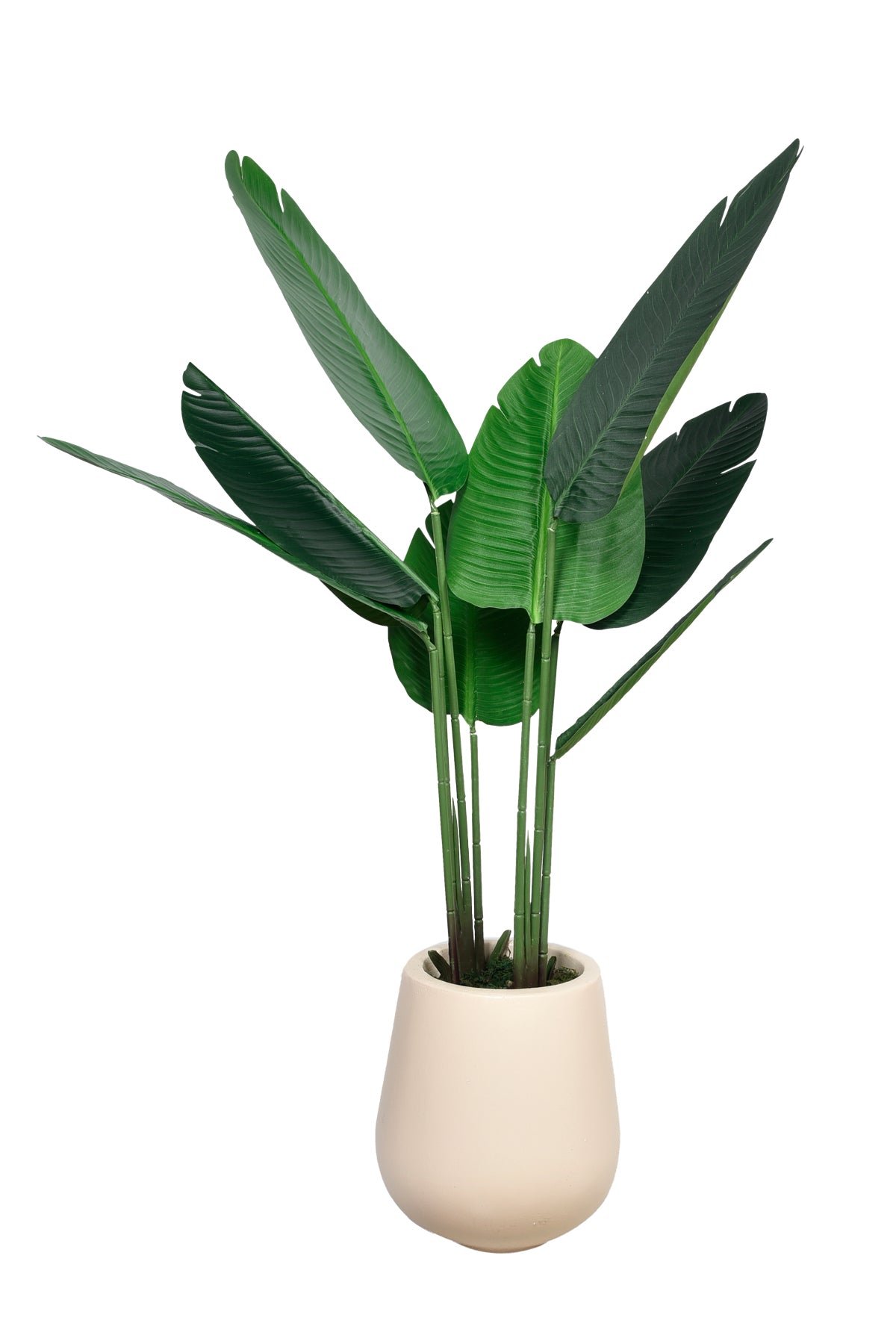 A_2.jpg Artificial Travellers Palm Buy 1 Take 1 - Image 1
