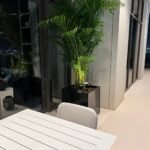 Areca XL in Fiber 40x40cm Plants UAE