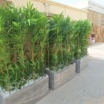 Artificial Bamboo Privacy Plants in Grey Fiber Pot Plants UAE