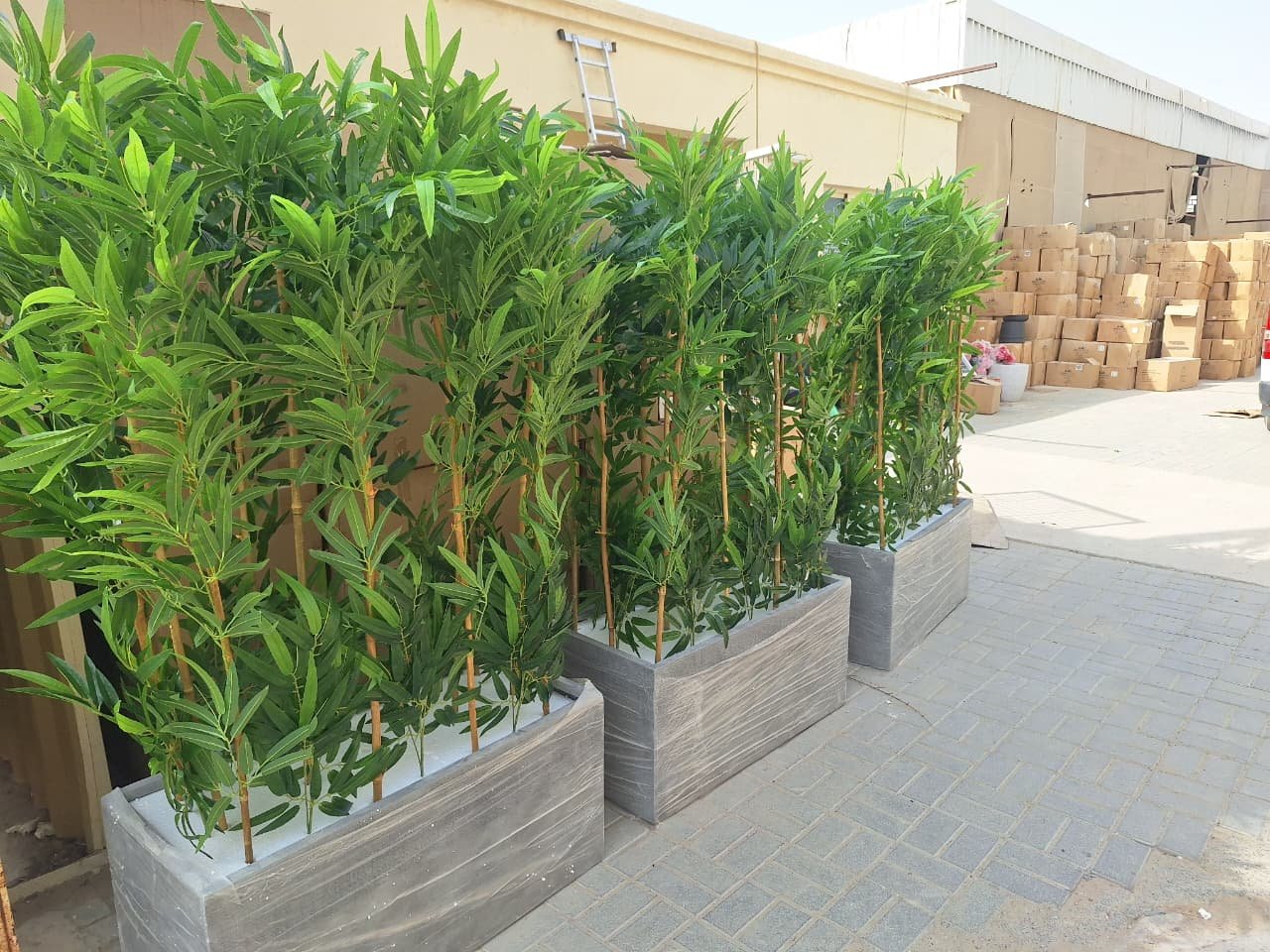 Artificial_Bamboo_Privacy_Plants_in_Grey_Fiber_Pot_Plants_UAE.jpg Artificial Bamboo Privacy Plants in Grey Fiber Pot Plants UAE - Image 1