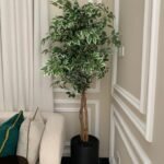 Artificial Benjamina Big 2m Indoor Plants UAE
