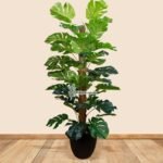 Artificial Monstera Plants UAE