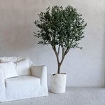 Artificial Olive Tree in Rustic Plants UAE