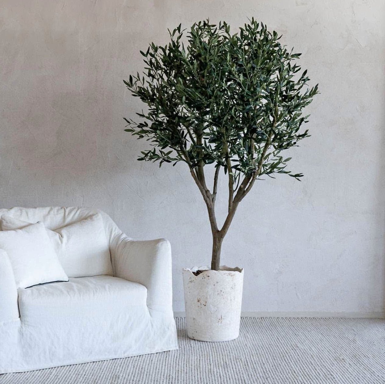 Artificial_Olive_Tree_in_Rustic_Plants_UAE.jpg Artificial Olive Tree in Rustic Plants UAE - Image 1