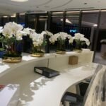 Artificial Orchid Premium Each Pot Indoor Plants UAE