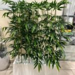 Artificial bamboo 100-120cm Privacy Plant UAE