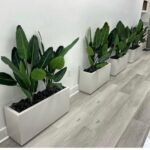 Artificial plant in rectangle pot for Balcony Online Plants UAE