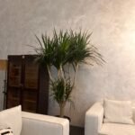 Office Plant Wild Yukka in Fiber Black Pot Premium - Image 2