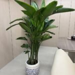 Chinese Classic Ceramic Pot Hand Made Plant Dubai - Image 2