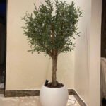 Artificial Olive