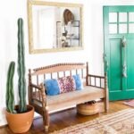 Premium Cactus XL Holland - Image 3