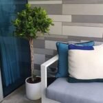 Twisted Ficus - Image 2