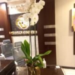 Orchid Natural Table Plant PROMO