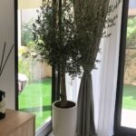 Indoor Olive Large in White Ceramic - Image 2