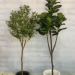 ARTIFICIAL PLANTS BUNDLE