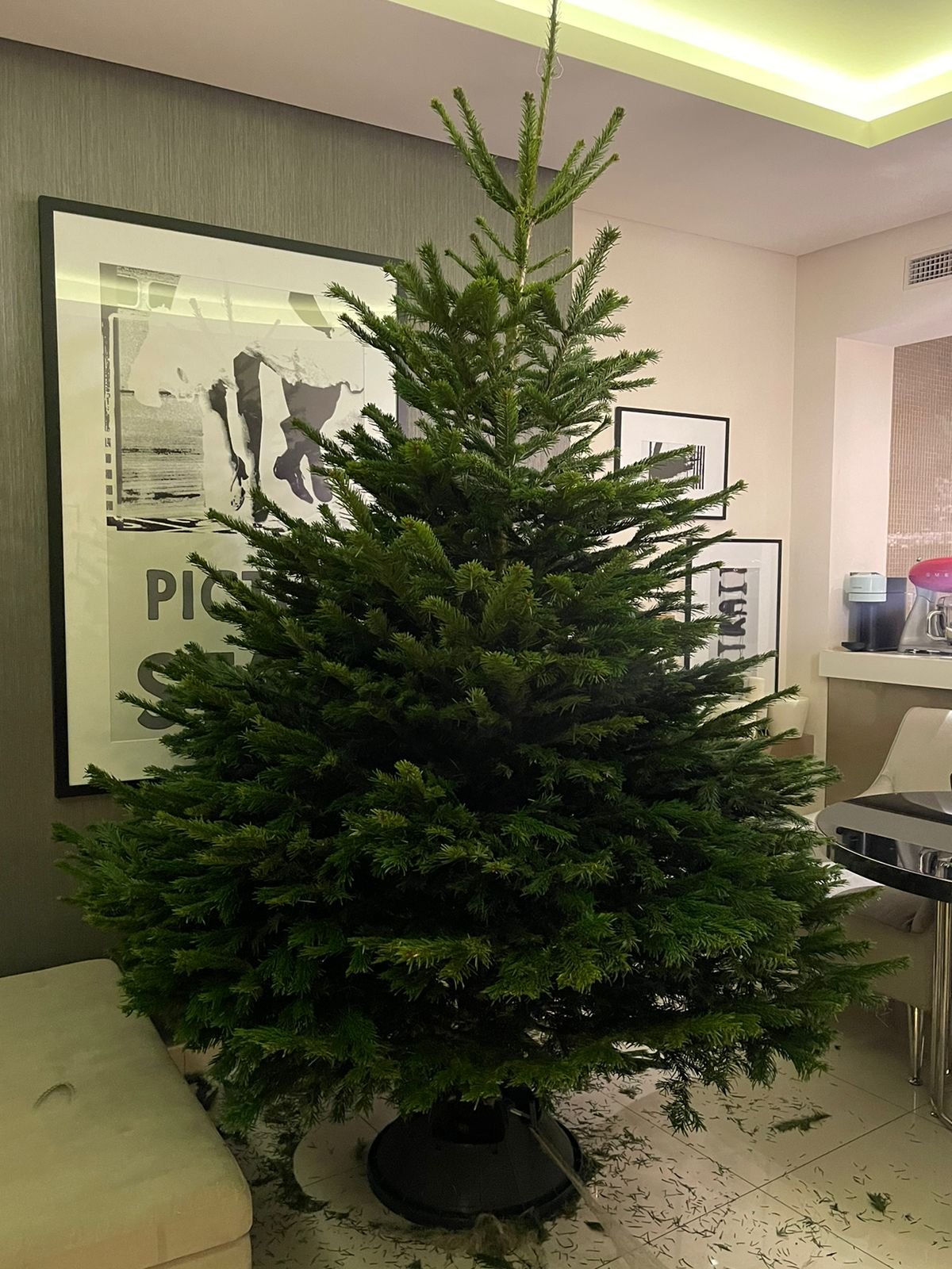 IMG-20221217-WA0030-2.jpg Christmas Tree Natural Tree 2m - Image 1