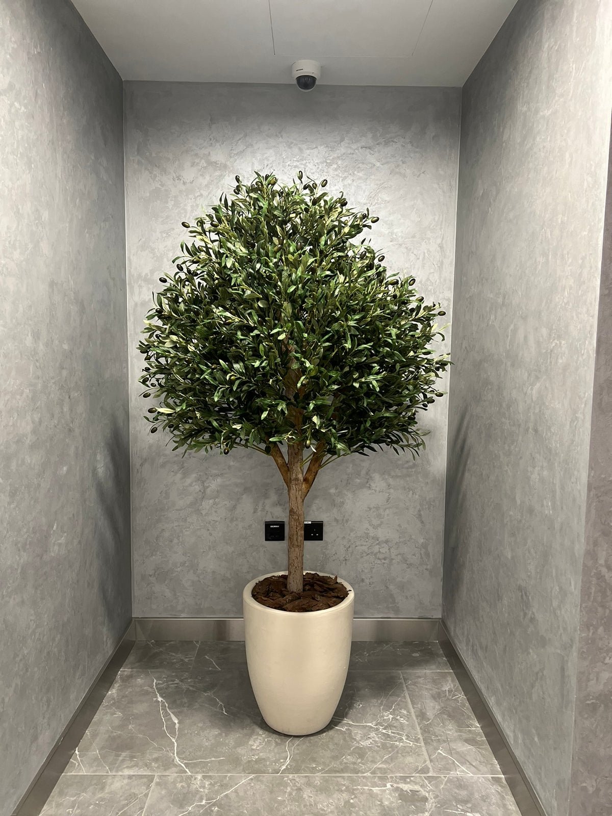 IMG-20221229-WA0006_1.jpg Artificial Olive Tree Premium Quality - Image 1