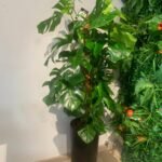 Office Plant Monstera Big in Black Matte - Image 3