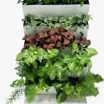 Vertical Garden with Plants - Image 2