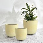 Fiber Pot Medium - Image 2