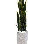 Artificial Snakeplant