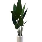 Artificial Bird of Paradise PROMO