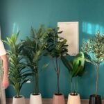 Office Plant Artificial 5plants Bundle
