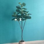 Artificial Fiddle Fig tree 1.7m Buy 1 Take 1|160-180cm