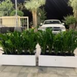Office Plants for Cabinet In Fiber Each 70*30 - Image 2