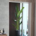 Office Plant Travellers Palm in Black Matte