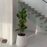 Fiddle XL|180cm to 2m - Image 2