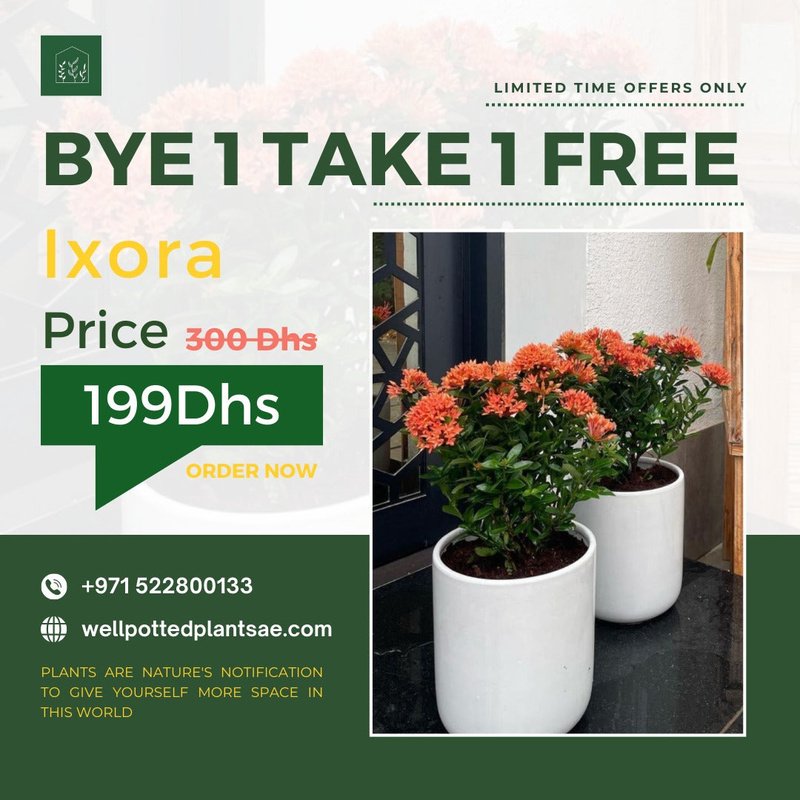 IMG-20230720-WA0086.jpg Ixora Bundle BUY 1 TAKE PROMO - Image 1