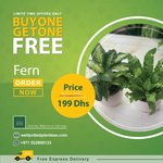 Prayer Plant Bundle Buy1 Take1 PROMO