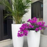 Outdoor Bundle in white ceramic Pots Plants UAE