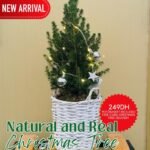 Christmas Tree NEW