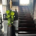 Fiddle 140cm in Black Matte New