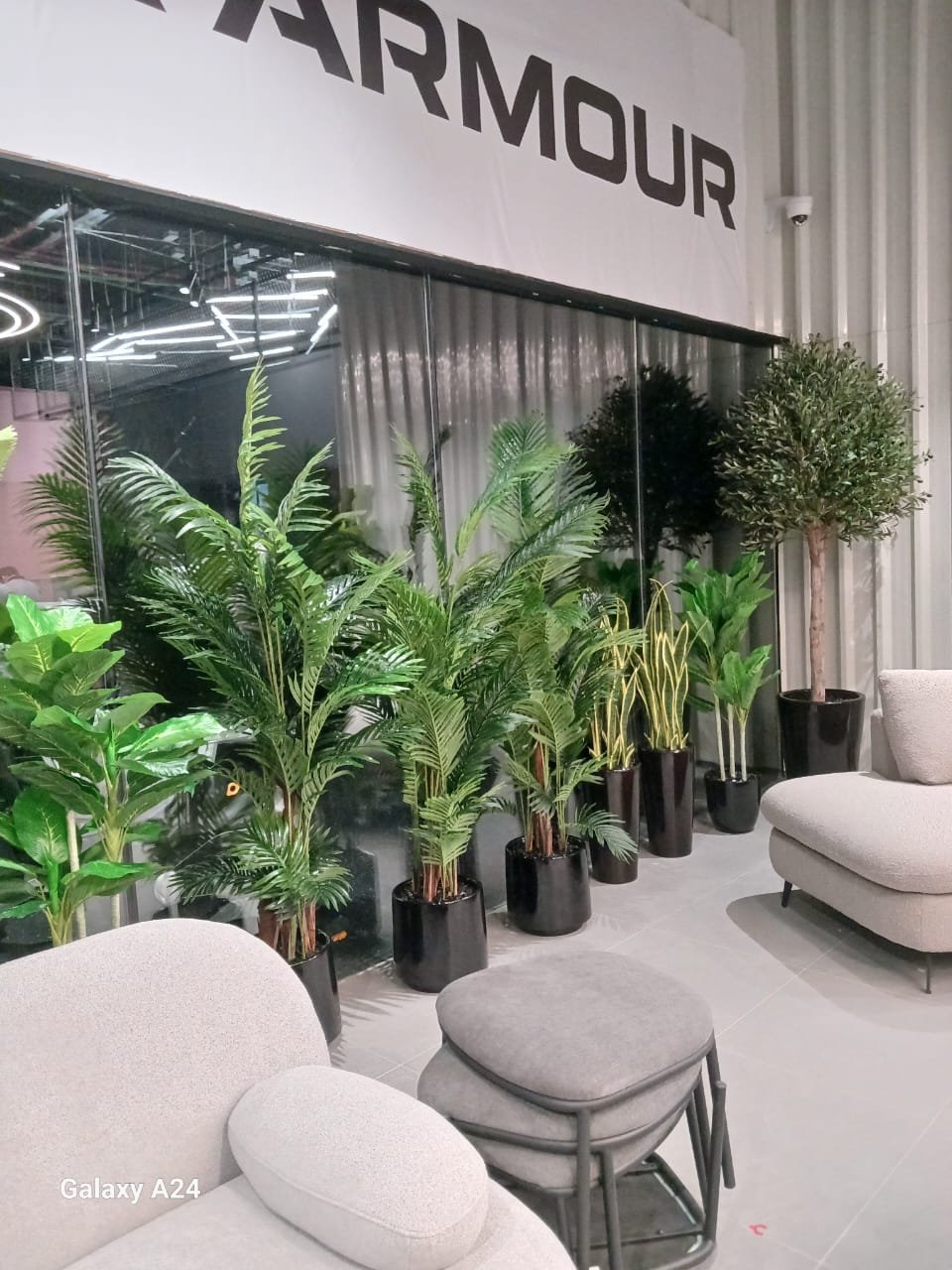 IMG-20240128-WA0107.jpg Office Plant Artificial 8 Premium Plants Bundle - Image 1