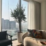Indoor Olive Large in White Ceramic